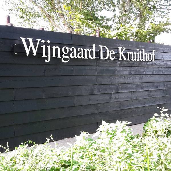 Wijn proeven bij Wijngaard De Kruithof